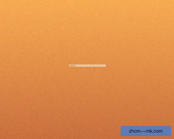 2025夏季转会：意甲中场加盟里昂强化中场防守能力
